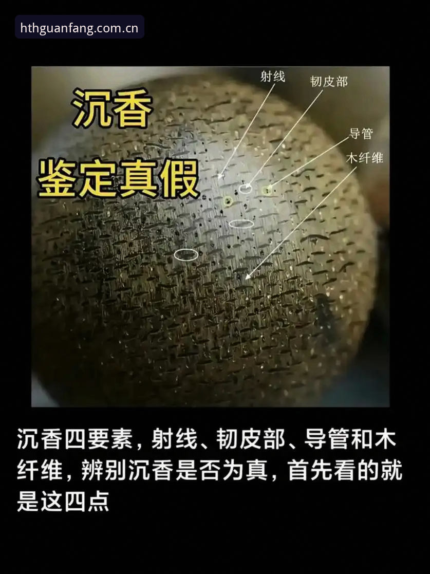 华体会hth正版评测 资深用户分享:华体会hth正版评测实战心得,教你一眼识别真假